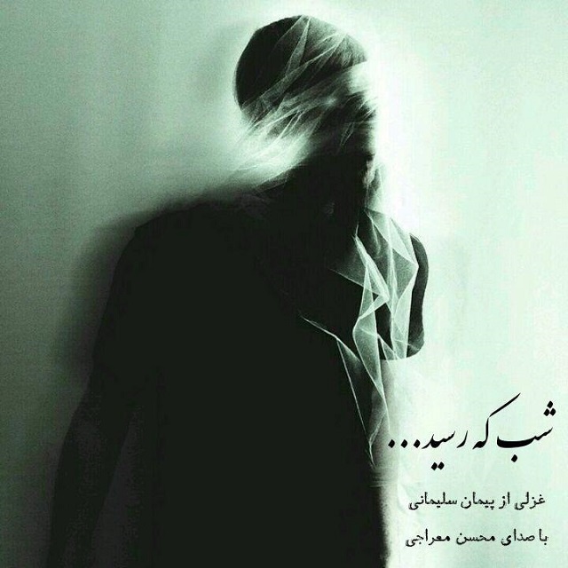 Mohsen Meraji