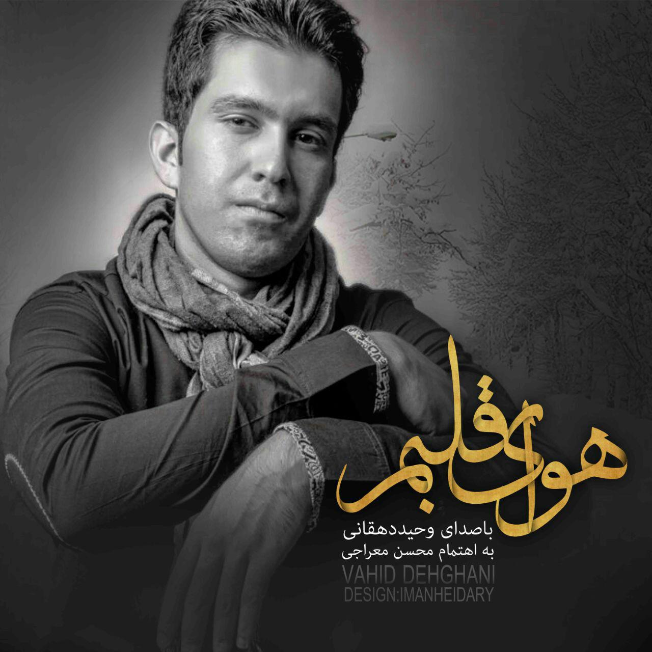 Vahid Dehghani – Havaye Ghalbam