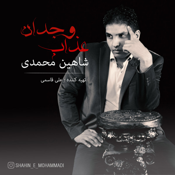 Shahin Mohammadi