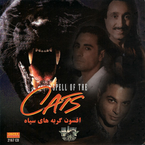 Black Cats – Afsoone Gorbehaye Siah