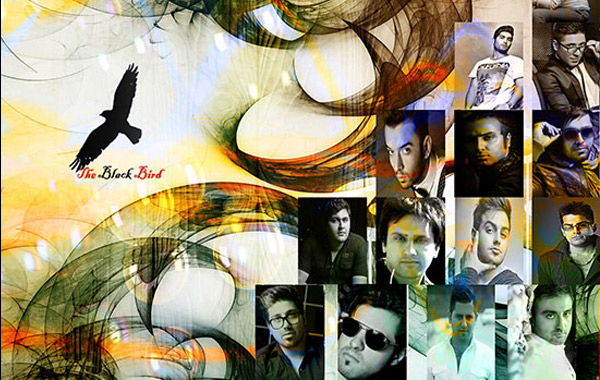 The Black Bird
