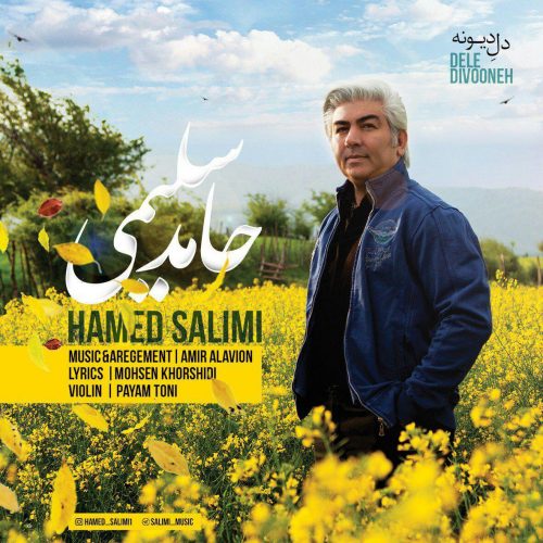 Hamed Salimi