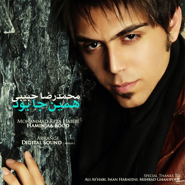 Mohamadreza Habibi – Haminja Bood