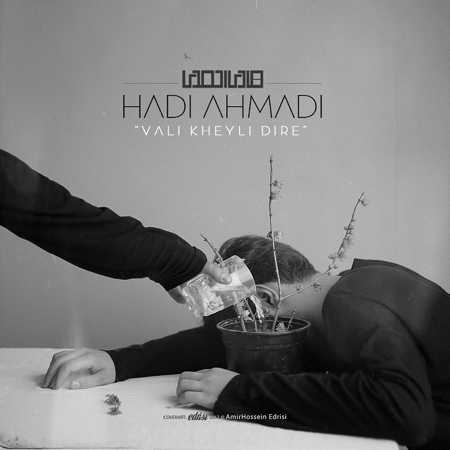 Hadi Ahmadi