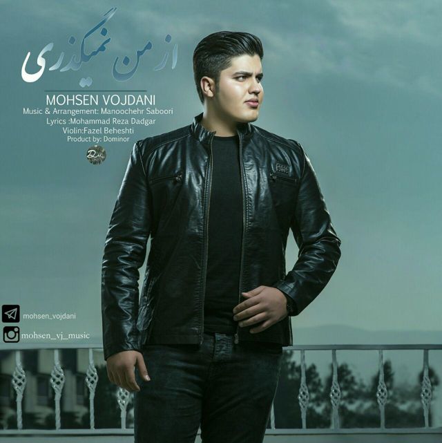 Mohsen Vojdani