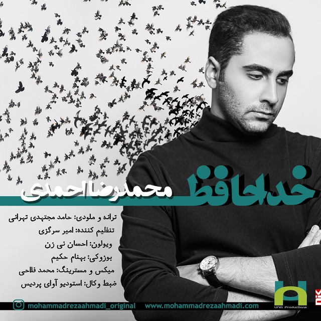 Mohammadreza Ahmadi