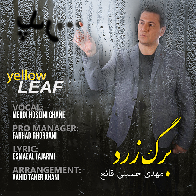 Mehdi Hosseini Ghane