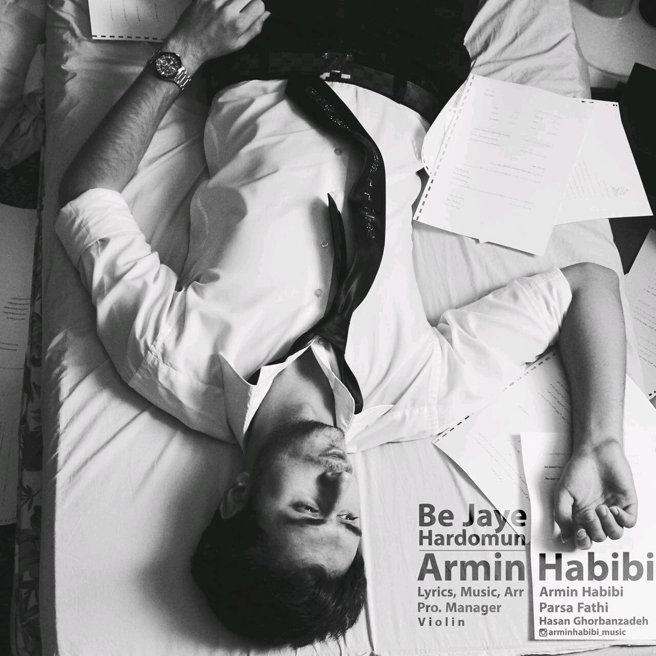 Armin Habibi