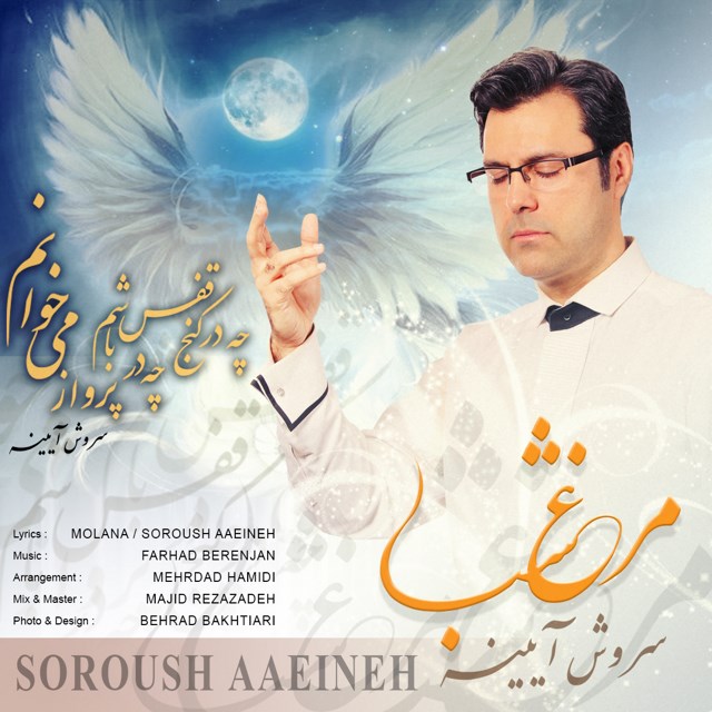 Soroush Aaeineh