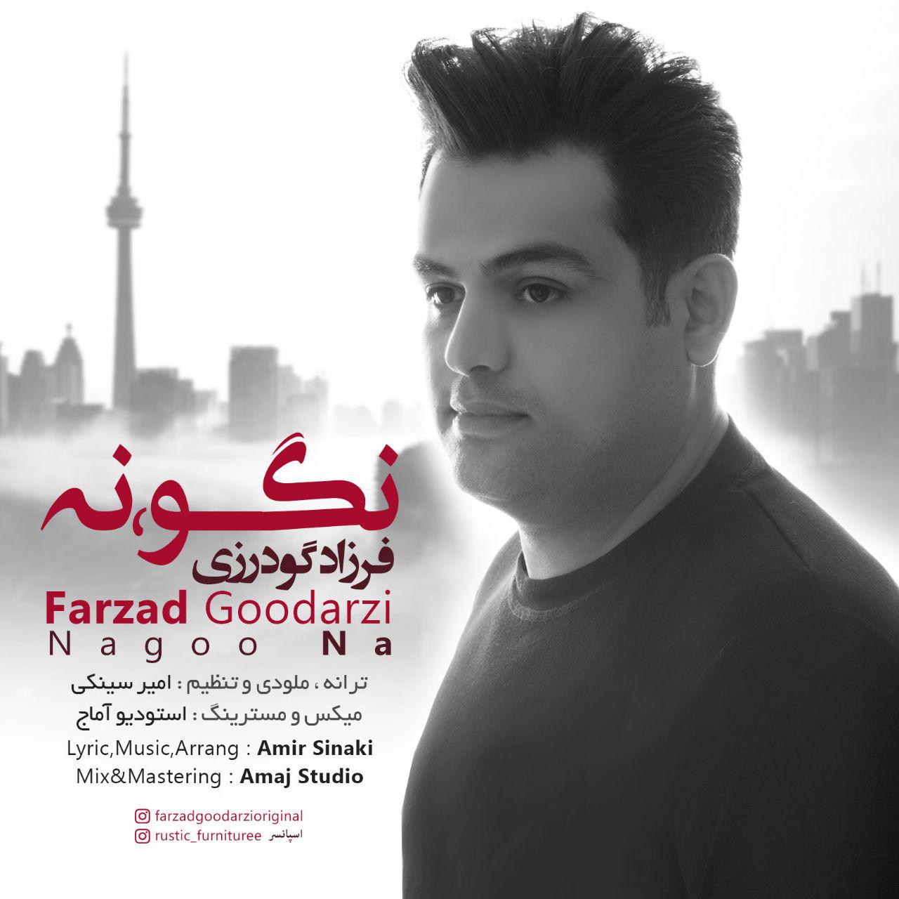 Farzad Goodarzi