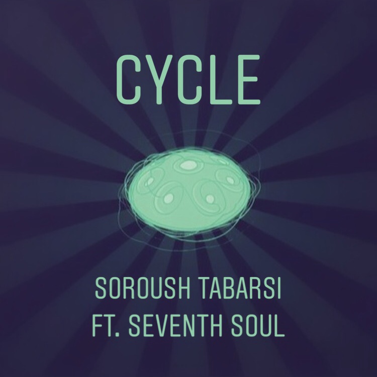 سروش طبرسى - Cycle 