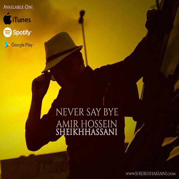 امیرحسین شیخ حسنی - Never Say Bye