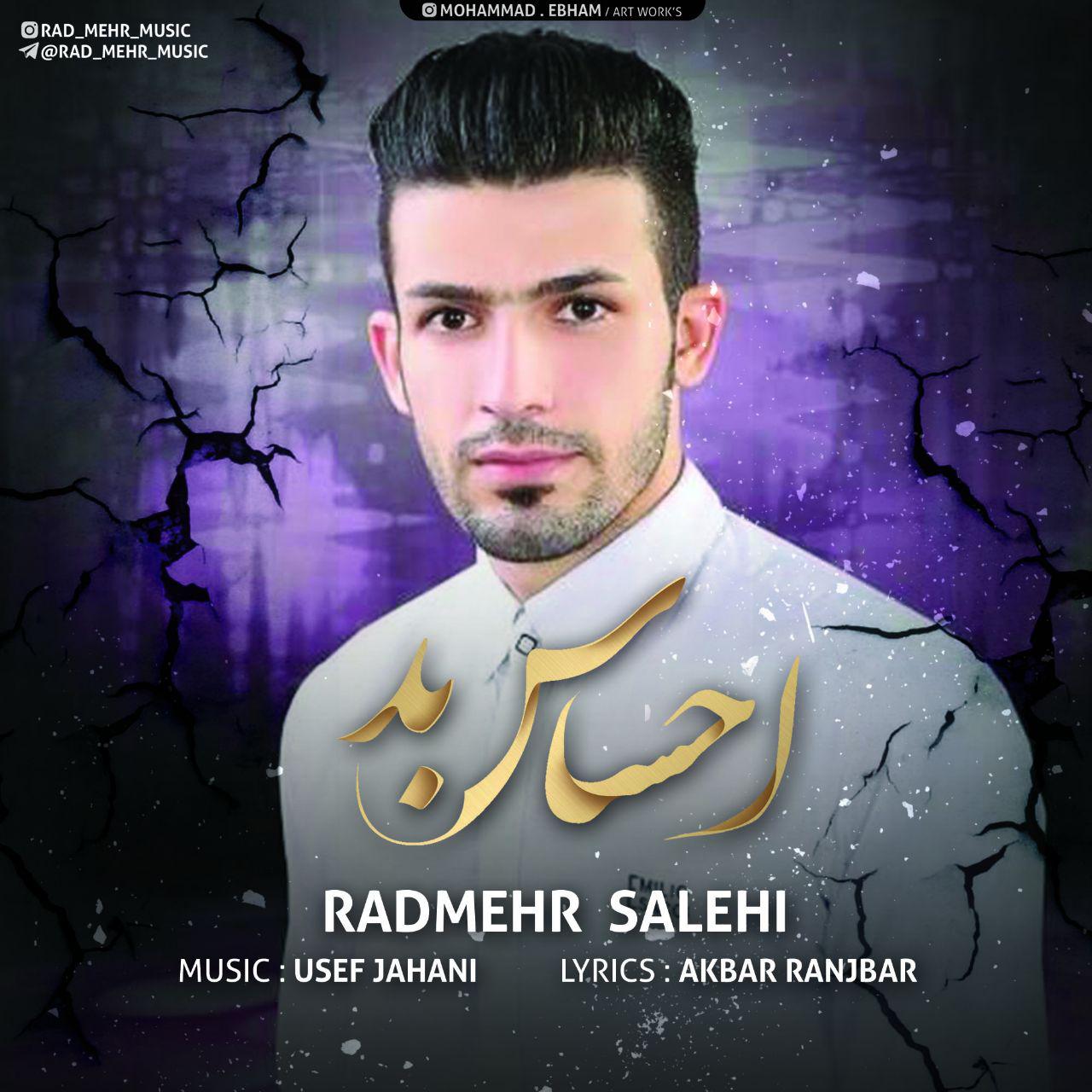 Radmehr Salehi