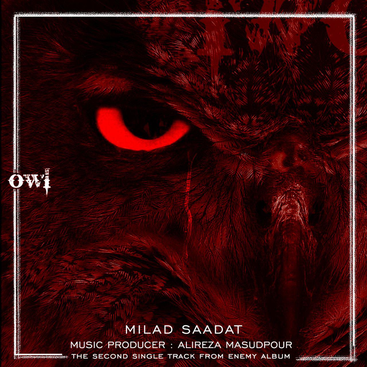 میلاد سعادت  - جغد