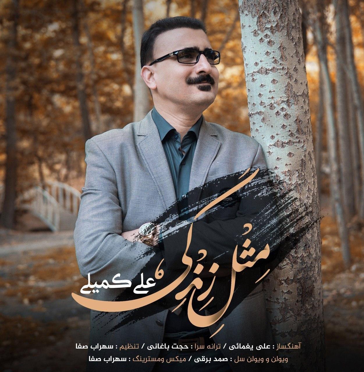 Ali Komeili