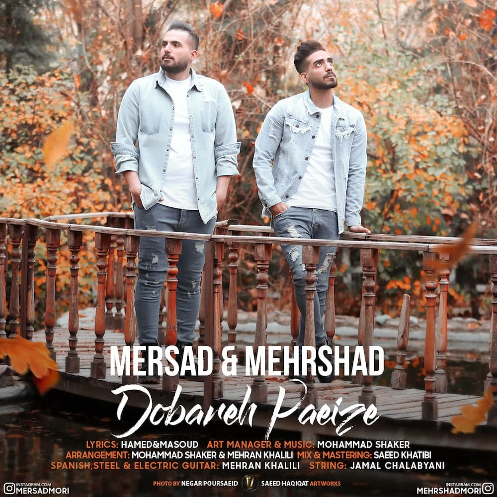 Mersad & Mehrshad