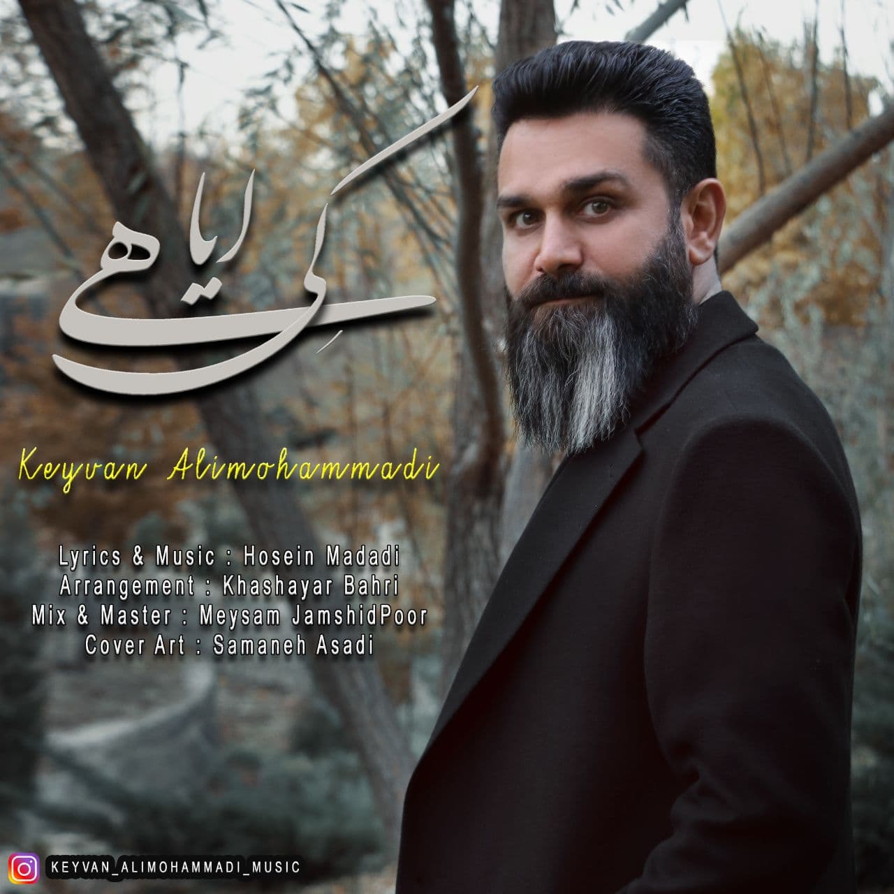 Keyvan AliMohammadi