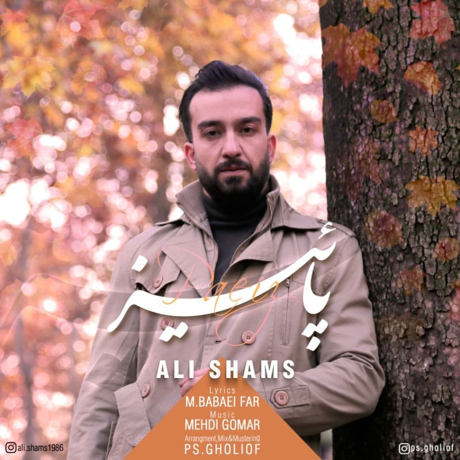 Ali Shams