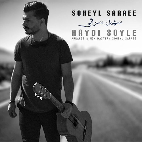 Soheyl Saraee