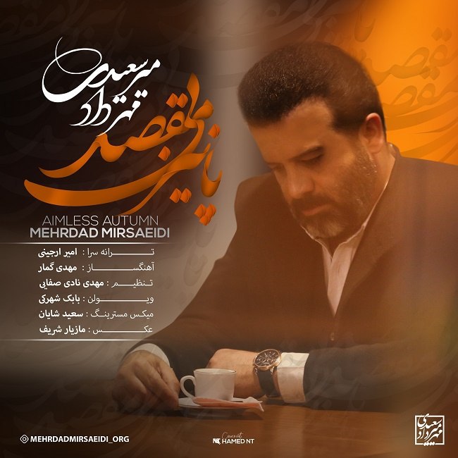 Mehrdad Mirsaeidi
