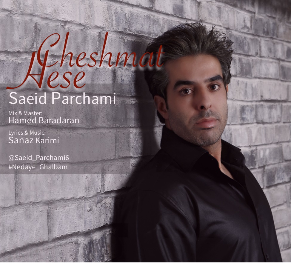 Saeid Parchami