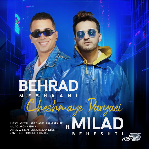 Behrad Meshkani