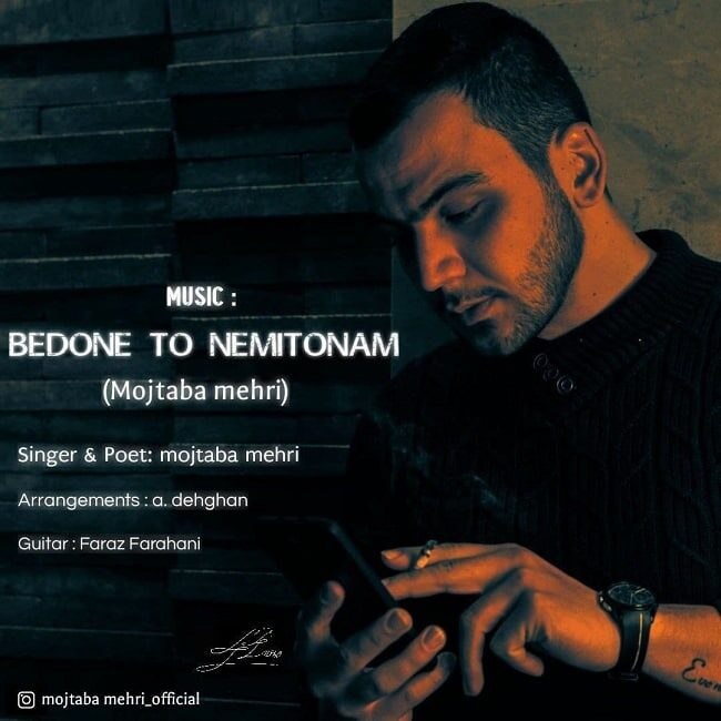 Mojtaba Mehri