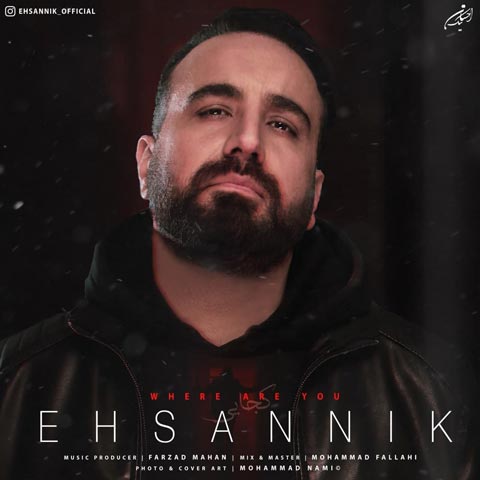 Ehsan Nik