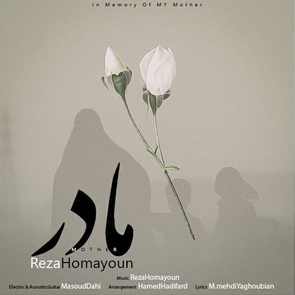 Reza Homayoun