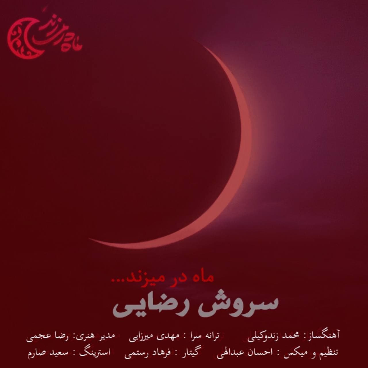 Soroush Rezaei