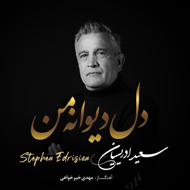 سعید ادریسیان - دل دیوانه ی من