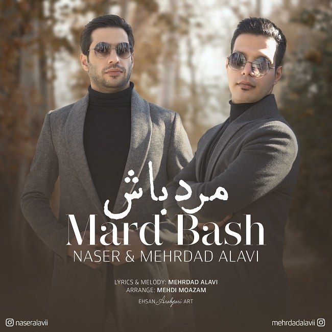 Naser Alavi & Mehrdad Alavi