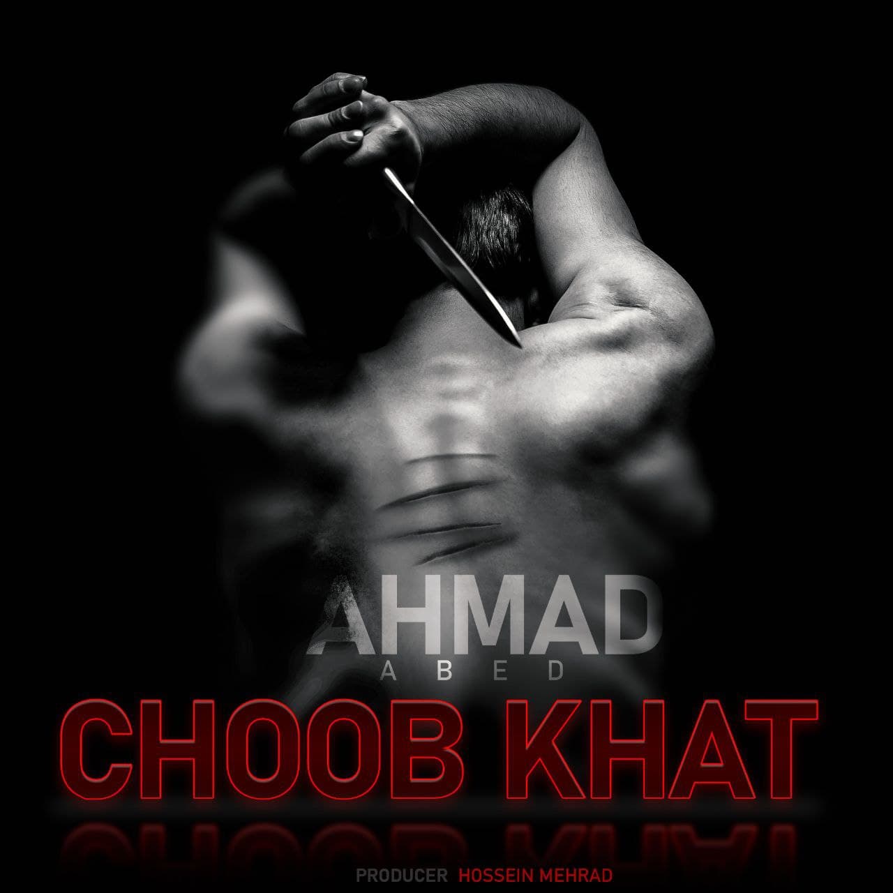 احمد عابد  - چوب خط