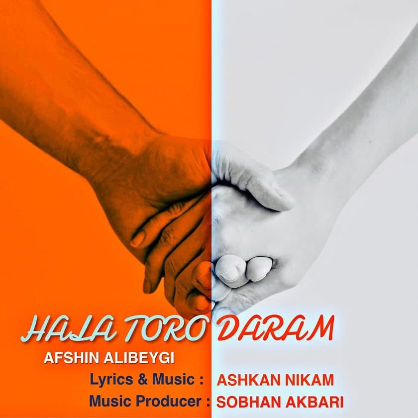 Afahin Alibeygi