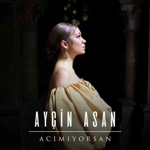 Ayçin Asan