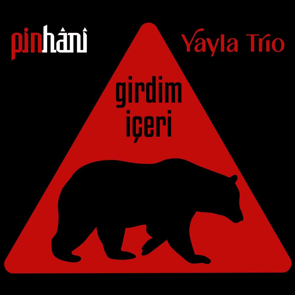 Pinhani  - Girdim İçeri