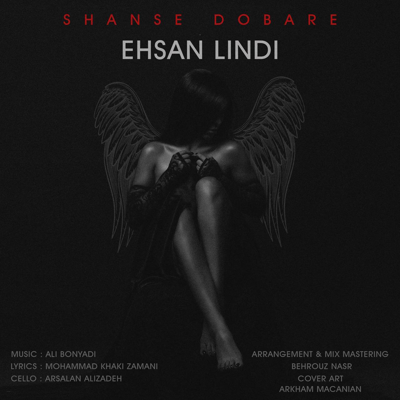 Ehsan Lindi