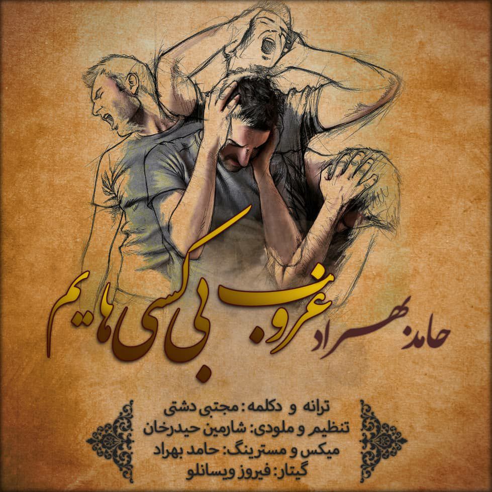 Hamed Behrad