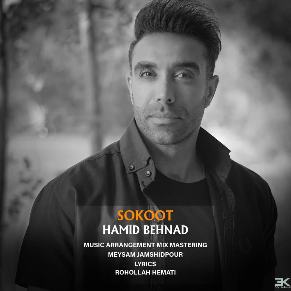 Hamid Behnad