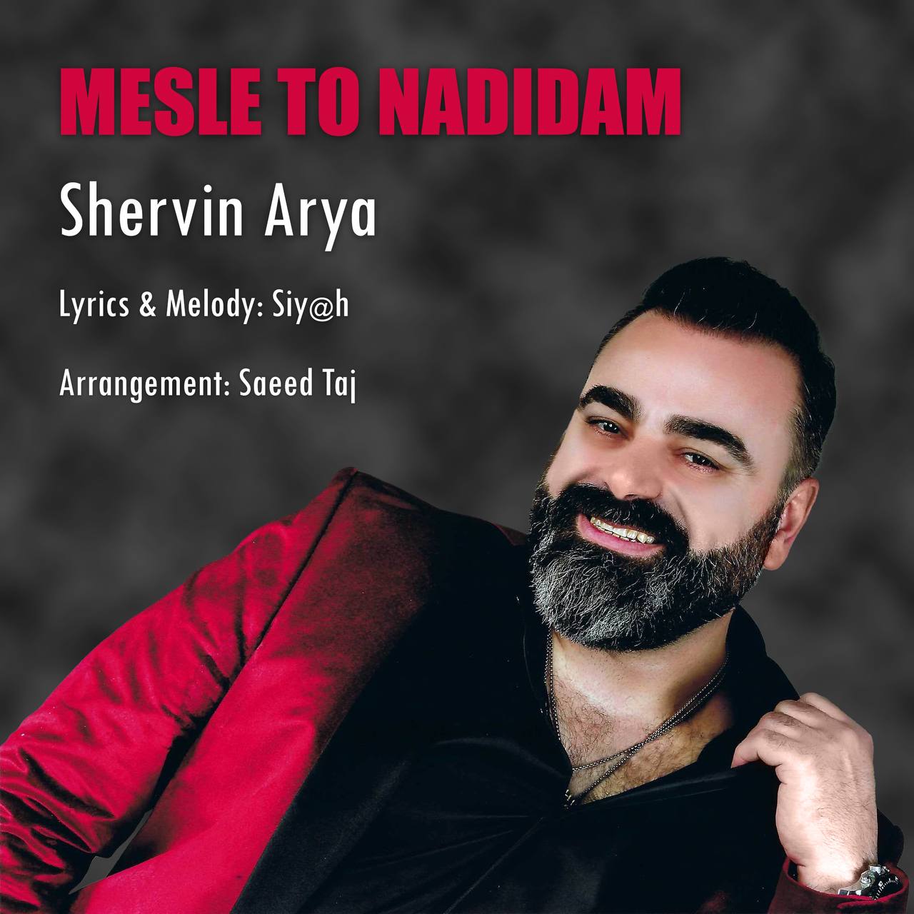 Shervin Arya
