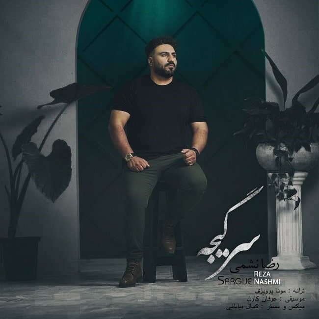 Reza Nashmi
