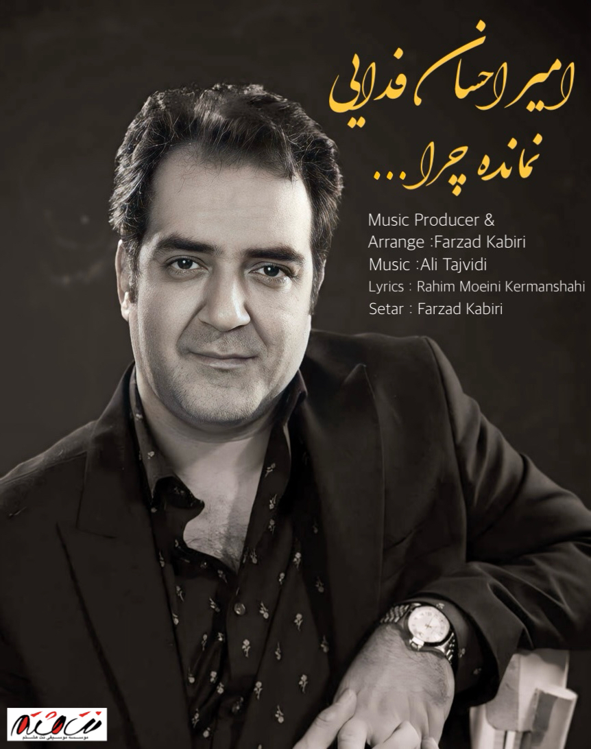 Amir Ehsan Fadaei