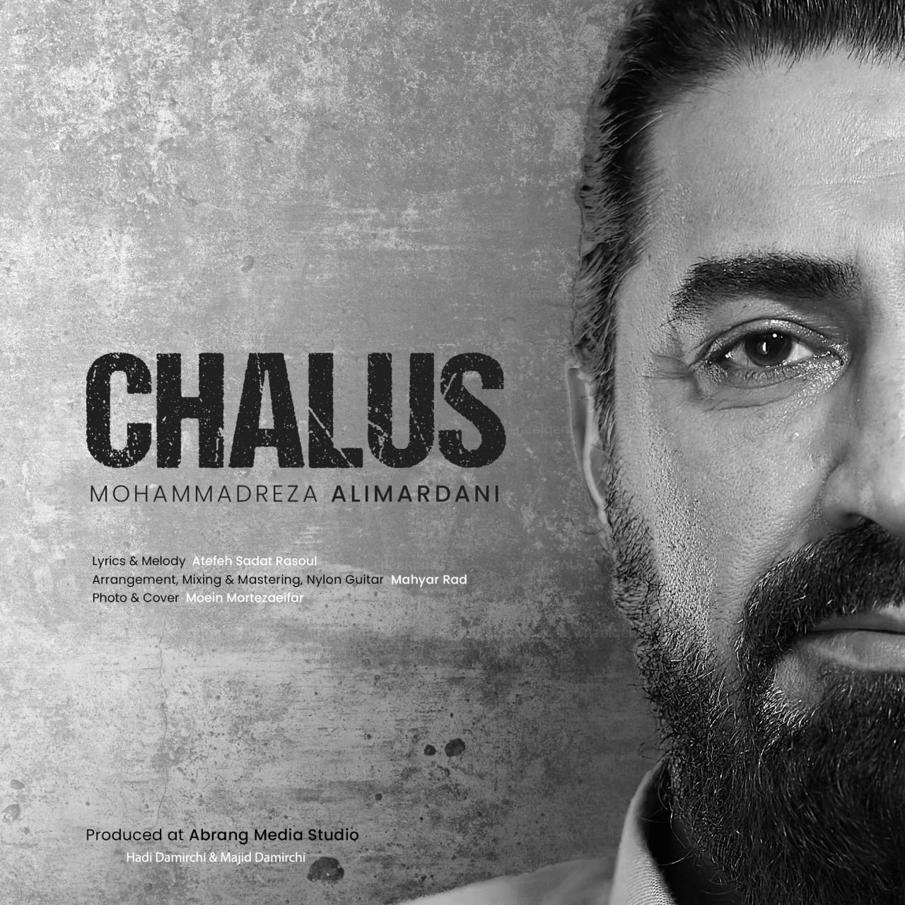 Mohammadreza Alimardani