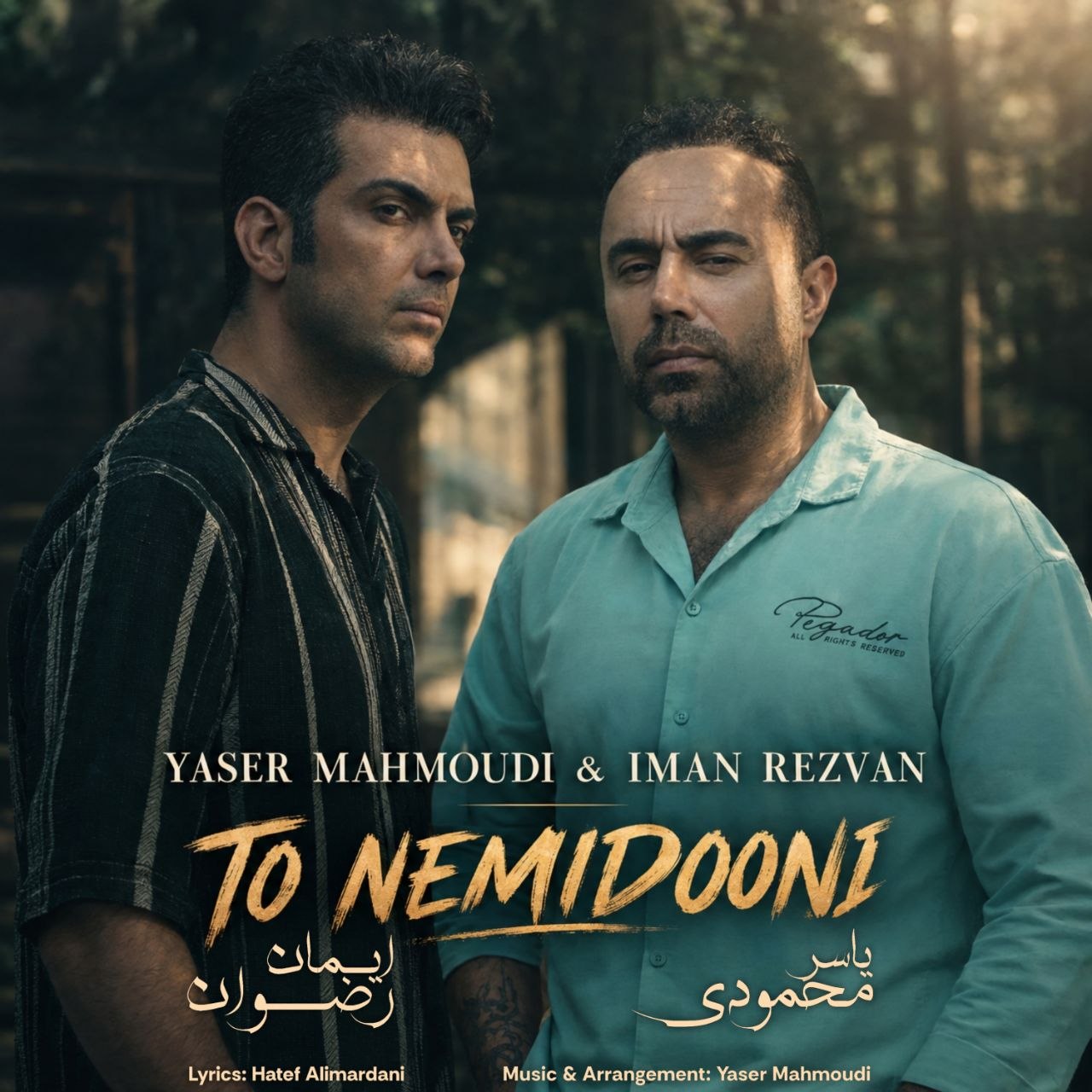 Yaser Mahmoudi & Iman Rezvan – To Nemidoni