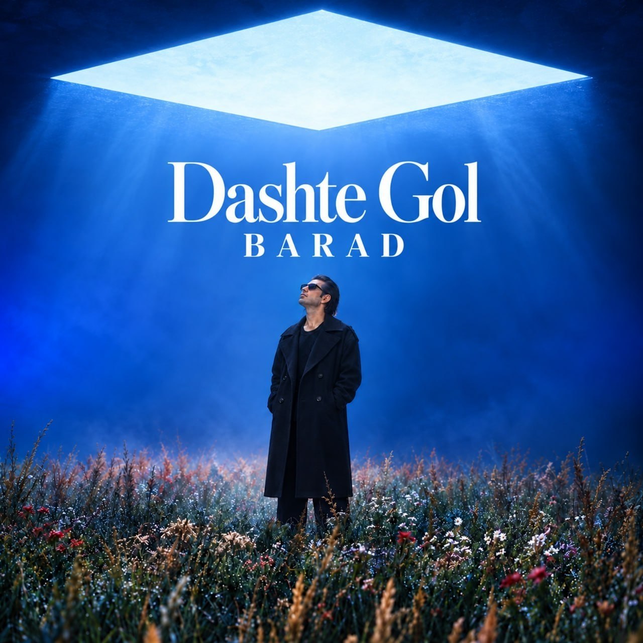 Barad – Dashte Gol