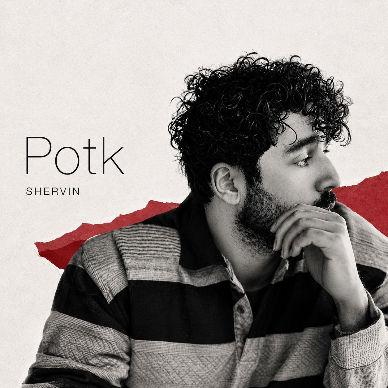 Shervin Hajipour – Potk